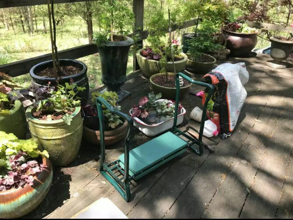 Garden scene with potted plants on a wooden deck