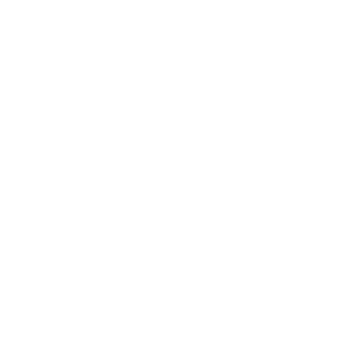 AllivoMarket logo with a shopping bag and hand icon on a green background